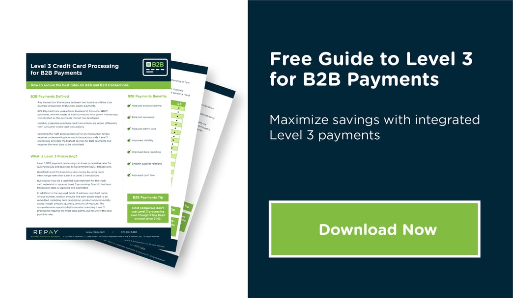 Guide to Level 3 Credit Card Processing for Integrated B2B Payments